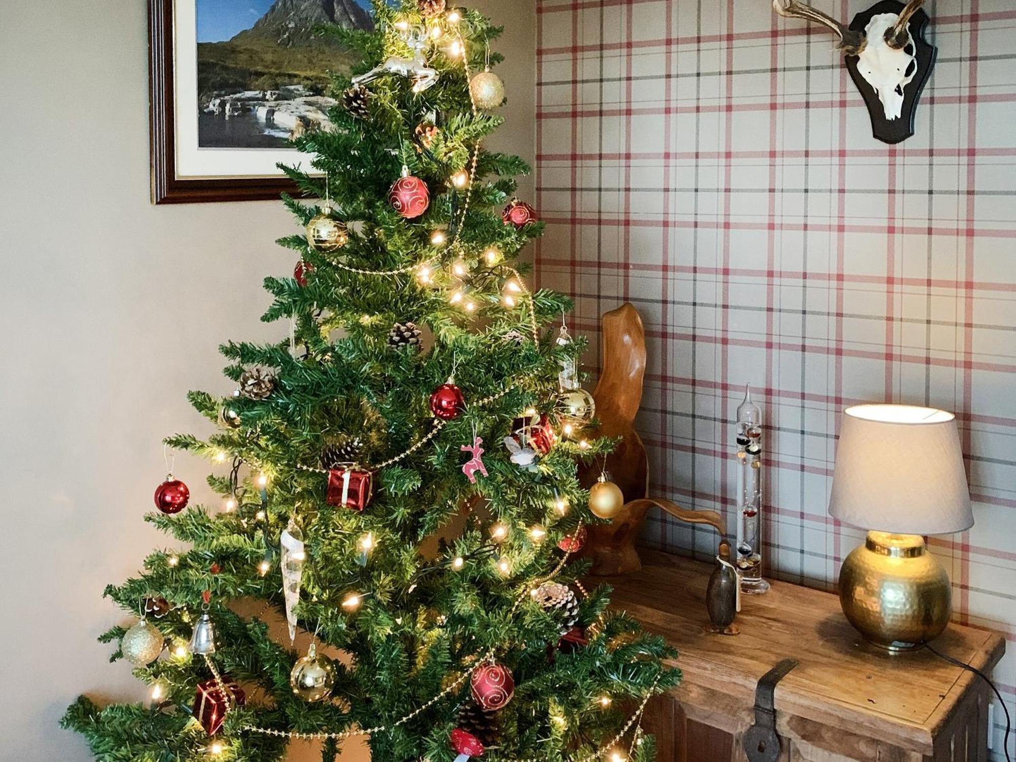 Ardross Villa Comrie Eksteriør billede